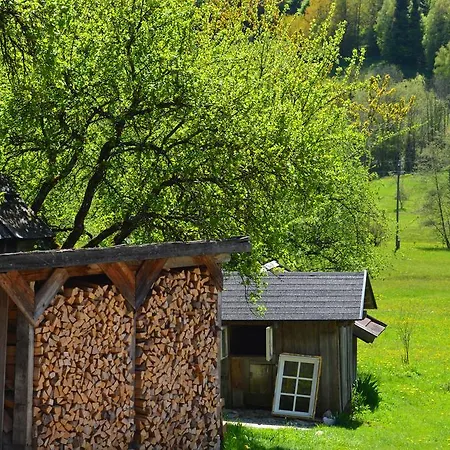 Bauernhof Koenig Farm stay *