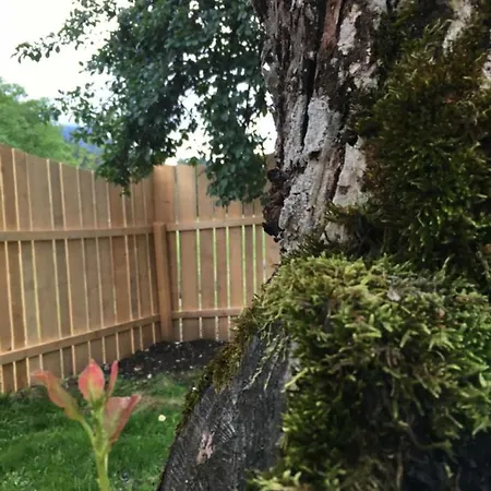 Bauernhof Koenig Séjour à la ferme Anger (Liezen)