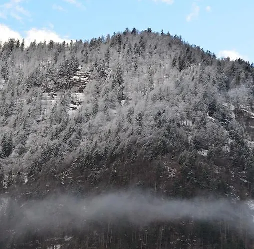 Bauernhof Koenig Séjour à la ferme Anger (Liezen)