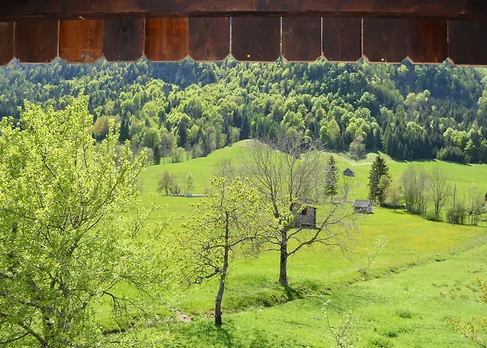 Bauernhof Koenig Séjour à la ferme Anger (Liezen)