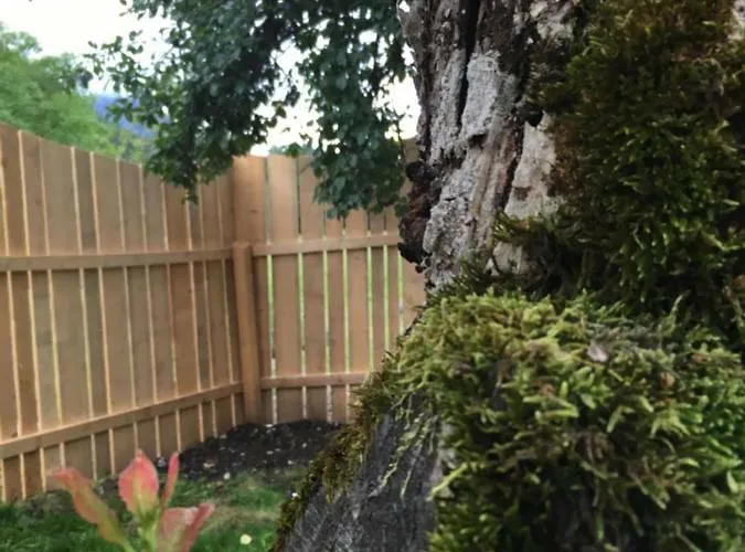 Bauernhof Koenig בית חווה Anger (Liezen)